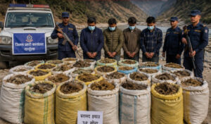 दार्चुलामा भारत निकासी हुँदै गरेको ३९ बोरा झ्याउ बरामद, चार जना पक्राउ