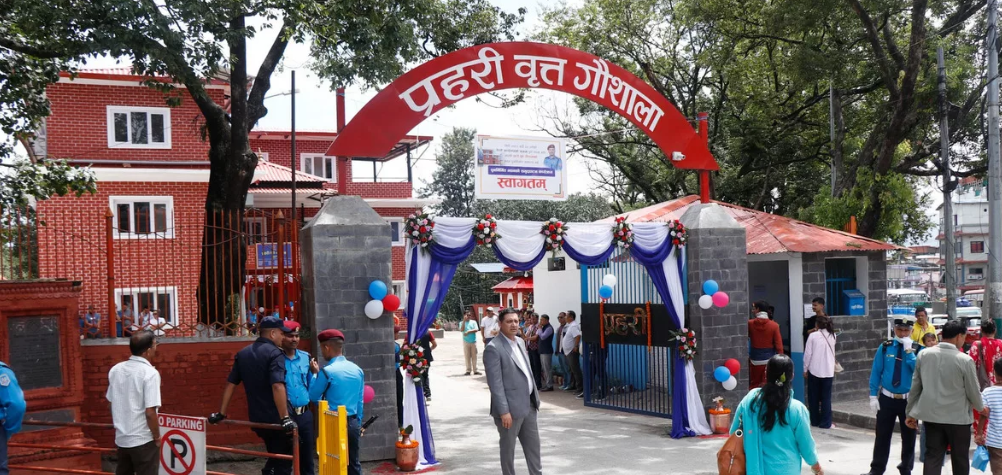 जेनजी आन्दोलनमा ध्वस्त गौशाला प्रहरी चौकीको पुनर्निर्माण